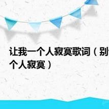 让我一个人寂寞歌词（别让我一个人寂寞）