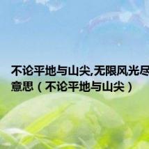 不论平地与山尖,无限风光尽被占的意思（不论平地与山尖）