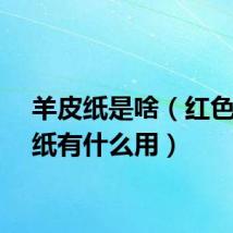 羊皮纸是啥（红色羊皮纸有什么用）