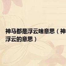 神马都是浮云啥意思（神马都是浮云的意思）