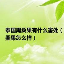 泰国黑桑果有什么害处(泰国黑桑果怎么样)