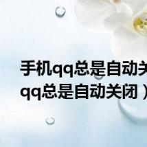 手机qq总是自动关闭(qq总是自动关闭)