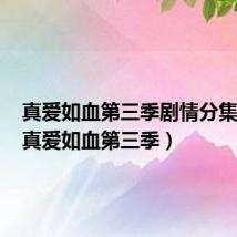 真爱如血第三季剧情分集介绍(真爱如血第三季)