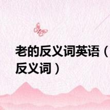 老的反义词英语（老的反义词）