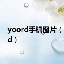 yoord手机图片(yoord)