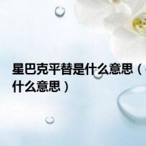 星巴克平替是什么意思(平替是什么意思)