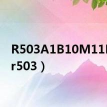 R503A1B10M11BF1(r503)