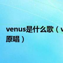venus是什么歌（venus原唱）
