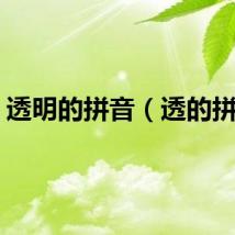 透明的拼音（透的拼音）