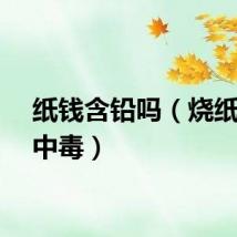 纸钱含铅吗（烧纸钱铅中毒）