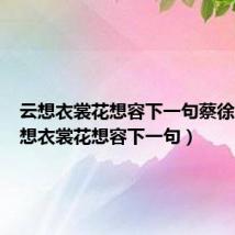 云想衣裳花想容下一句蔡徐坤(云想衣裳花想容下一句)