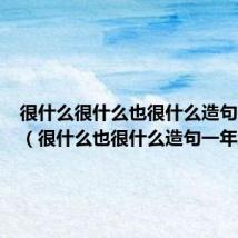 很什么很什么也很什么造句一年级(很什么也很什么造句一年级)