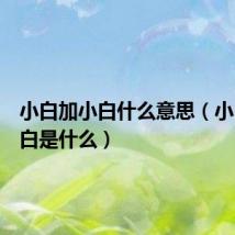 小白加小白什么意思(小白加小白是什么)