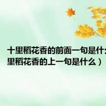 十里稻花香的前面一句是什么?(十里稻花香的上一句是什么)
