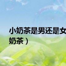 小奶茶是男还是女（小奶茶）