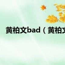 黄柏文bad（黄柏文）
