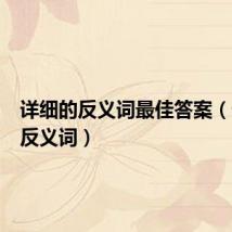 详细的反义词最佳答案（详细的反义词）