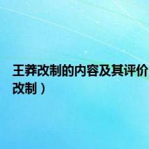 王莽改制的内容及其评价（王莽改制）