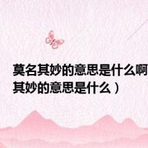 莫名其妙的意思是什么啊（莫名其妙的意思是什么）
