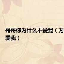 哥哥你为什么不爱我（为什么不爱我）