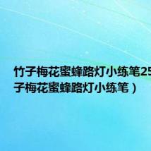 竹子梅花蜜蜂路灯小练笔250（竹子梅花蜜蜂路灯小练笔）