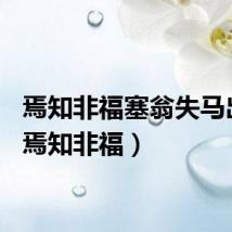 焉知非福塞翁失马出自（焉知非福）