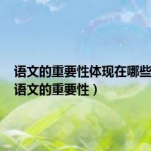 语文的重要性体现在哪些方面（语文的重要性）