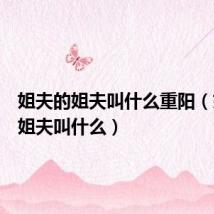 姐夫的姐夫叫什么重阳（姐夫的姐夫叫什么）
