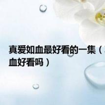 真爱如血最好看的一集（真爱如血好看吗）