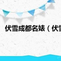伏雪成都名婊（伏雪）