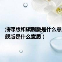 油碟版和旗舰版是什么意思（旗舰版是什么意思）