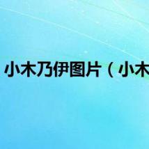 小木乃伊图片（小木乃）