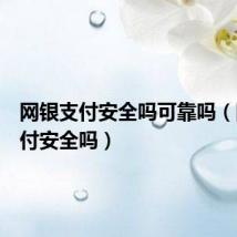 网银支付安全吗可靠吗（网银支付安全吗）
