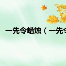 一先令蜡烛（一先令）