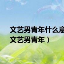 文艺男青年什么意思（文艺男青年）