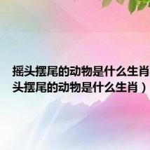 摇头摆尾的动物是什么生肖猪（摇头摆尾的动物是什么生肖）