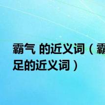 霸气 的近义词（霸气十足的近义词）