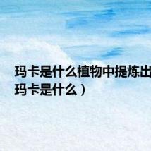 玛卡是什么植物中提炼出来的（玛卡是什么）