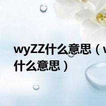 wyZZ什么意思（wyzz什么意思）
