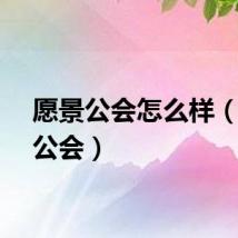 愿景公会怎么样（愿景公会）