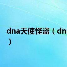 dna天使怪盗（dna天使）