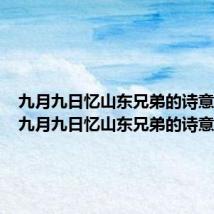 九月九日忆山东兄弟的诗意10字（九月九日忆山东兄弟的诗意）