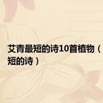 艾青最短的诗10首植物（艾青最短的诗）