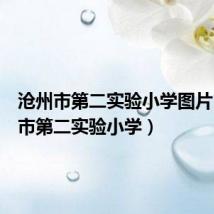 沧州市第二实验小学图片（沧州市第二实验小学）
