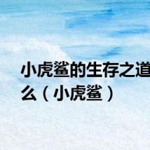 小虎鲨的生存之道是什么（小虎鲨）