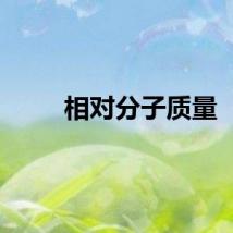 相对分子质量