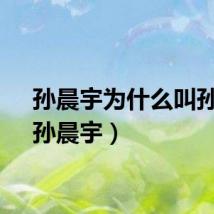 孙晨宇为什么叫孙割（孙晨宇）