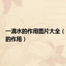 一滴水的作用图片大全（一滴水的作用）