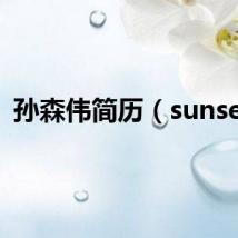孙森伟简历（sunsen）