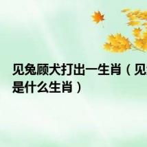 见兔顾犬打出一生肖（见兔顾犬是什么生肖）